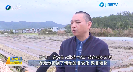 工厂化育秧助力水稻种植跑出"加速度"